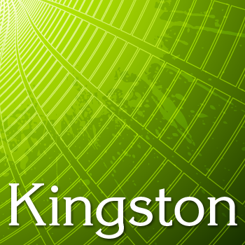 Kingston+Pro